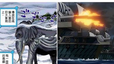 海賊王：1037話巨大身影確定為象主，恐怖戰力可抵消世界政府戰艦！
