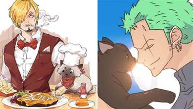 海賊王：如果草帽一夥也養貓，魯夫把它喂成胖子，香吉士教它當廚師